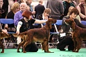 Crufts2011 148